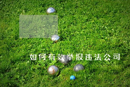 如何有效举报违法公司 如何有效举报违法公司