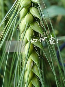 如何查5年内逾期记录吗 如何查5年内逾期记录吗