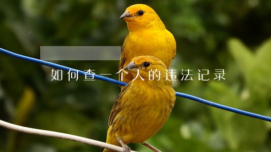 如何查一个人的违法记录 如何查一个人的违法记录