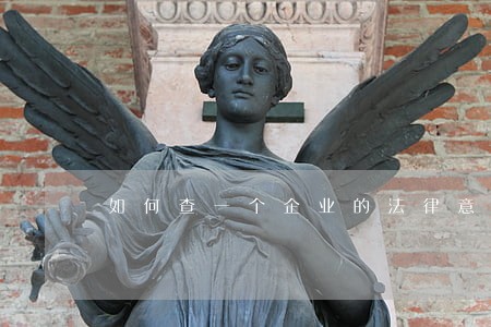 如何查一个企业的法律意见书 如何查一个企业的法律意见书