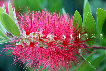 如何查他人信用卡有没有逾期 如何查他人信用卡有没有逾期