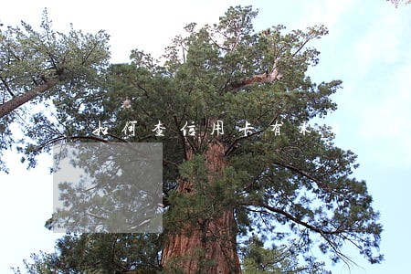 如何查信用卡有木有逾期