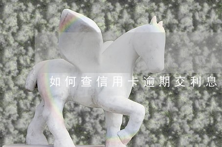 如何查信用卡逾期交利息 如何查信用卡逾期交利息