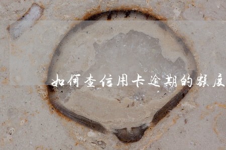 如何查信用卡逾期的额度 如何查信用卡逾期的额度