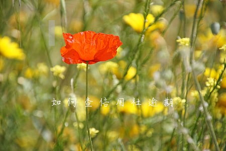 如何查信用社逾期 如何查信用社逾期