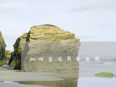 如何查信用贷逾期 如何查信用贷逾期