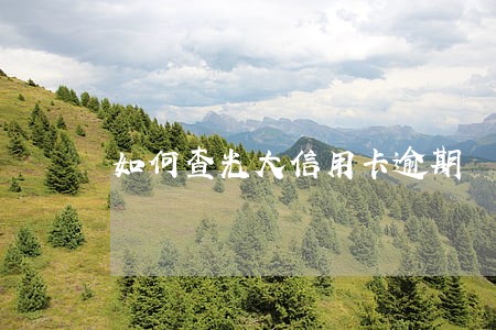 如何查光大信用卡逾期 如何查光大信用卡逾期
