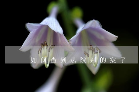 如何查到法院判的案子 如何查到法院判的案子
