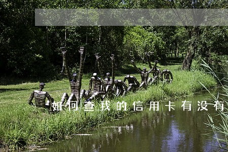 如何查我的信用卡有没有逾期 如何查我的信用卡有没有逾期