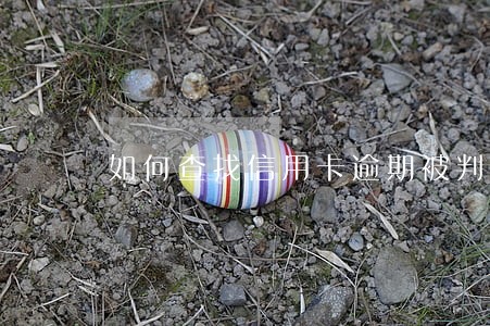 如何查找信用卡逾期被判案件 如何查找信用卡逾期被判案件