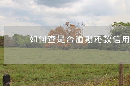 如何查是否逾期还款信用卡 如何查是否逾期还款信用卡