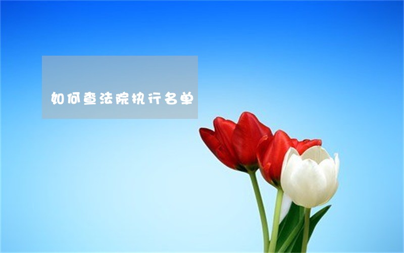 如何查法院执行名单