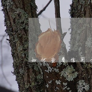 如何查看信用卡还款逾期情况 如何查看信用卡还款逾期情况
