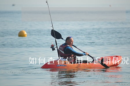 如何查看信用卡逾期情况