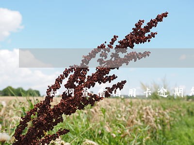 如何查看信用卡逾期欠款 如何查看信用卡逾期欠款