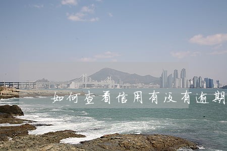如何查看信用有没有逾期