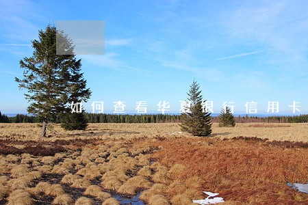 如何查看华夏银行信用卡逾期 如何查看华夏银行信用卡逾期