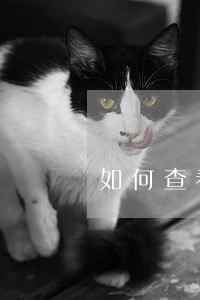 如何查看法律法规