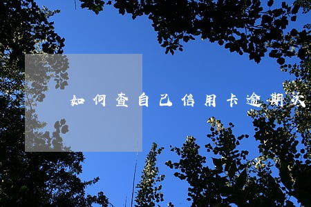 如何查自己信用卡逾期次数 如何查自己信用卡逾期次数