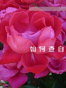 如何查自己贷款逾期