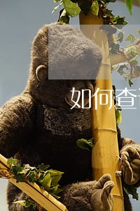 如何查询个人的贷款逾期名单 如何查询个人的贷款逾期名单