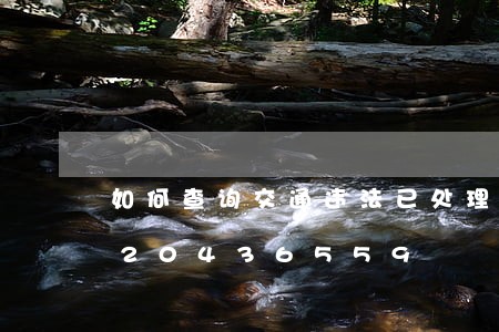 如何查询交通违法已处理记录/2023020436559 如何查询交通违法已处理记录/2023020436559