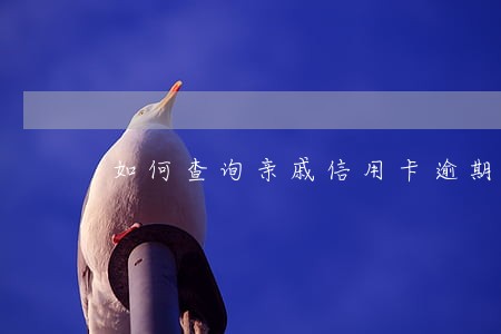 如何查询亲戚信用卡逾期欠款 如何查询亲戚信用卡逾期欠款