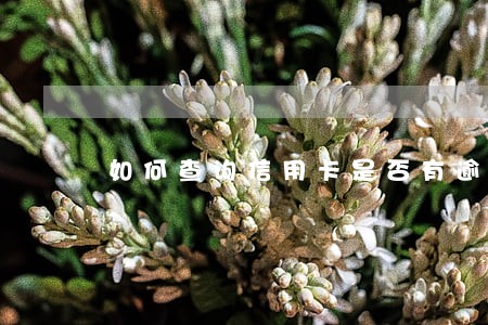 如何查询信用卡是否有逾期