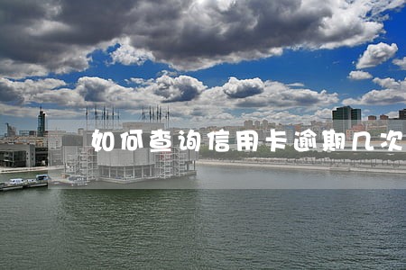 如何查询信用卡逾期几次 如何查询信用卡逾期几次