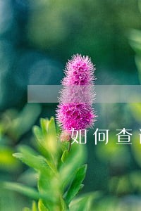 如何查询信用卡逾期多久了 如何查询信用卡逾期多久了