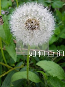 如何查询信用卡逾期是否报案 如何查询信用卡逾期是否报案