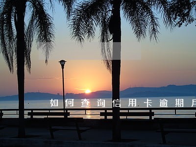 如何查询信用卡逾期月份