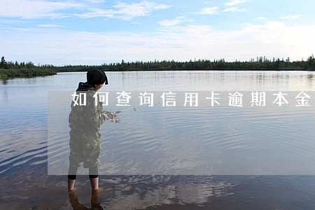 如何查询信用卡逾期本金