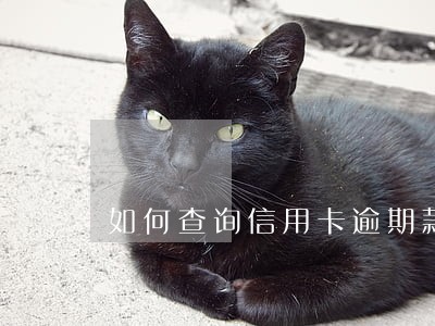 如何查询信用卡逾期款项 如何查询信用卡逾期款项