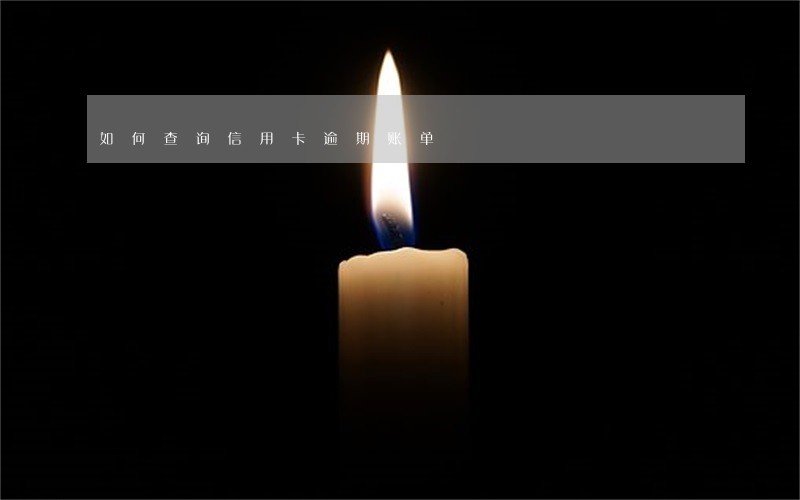 如何查询信用卡逾期账单 如何查询信用卡逾期账单