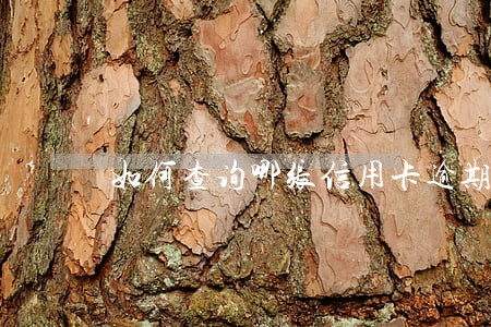 如何查询哪张信用卡逾期 如何查询哪张信用卡逾期