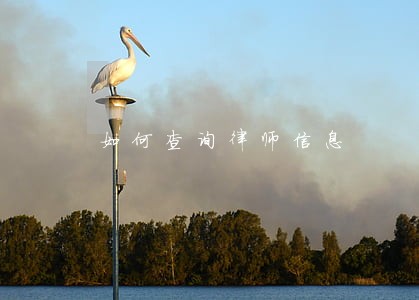 如何查询律师信息 如何查询律师信息