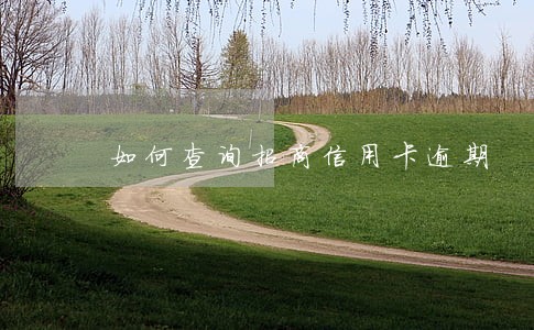 如何查询招商信用卡逾期 如何查询招商信用卡逾期