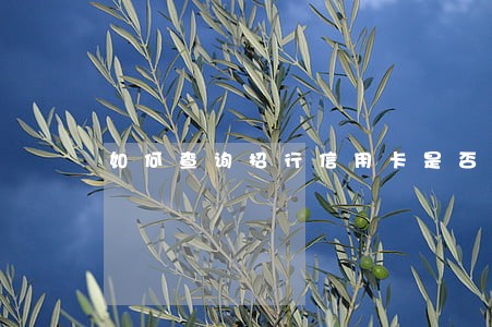 如何查询招行信用卡是否逾期 如何查询招行信用卡是否逾期
