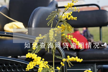 如何查询网贷逾期情况 如何查询网贷逾期情况