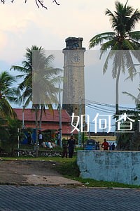 如何查询网贷逾期记录 如何查询网贷逾期记录
