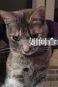 如何查询自己信用卡逾期月份 如何查询自己信用卡逾期月份