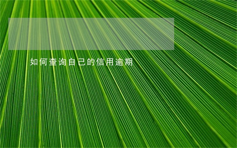 如何查询自己的信用逾期 如何查询自己的信用逾期