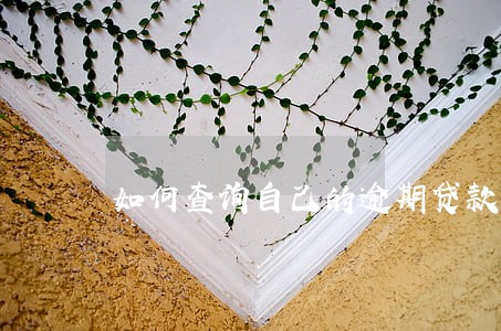 如何查询自己的逾期贷款