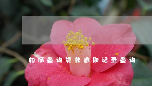 如何查询贷款逾期记录查询 如何查询贷款逾期记录查询
