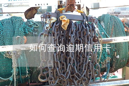 如何查询逾期信用卡 如何查询逾期信用卡