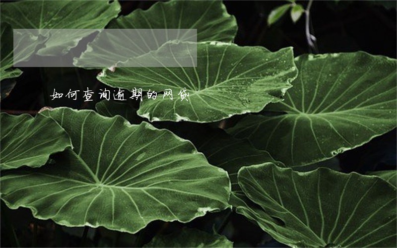 如何查询逾期的网贷 如何查询逾期的网贷