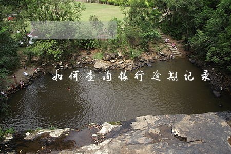 如何查询银行逾期记录