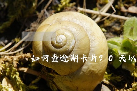 如何查逾期卡片90天以上本金 如何查逾期卡片90天以上本金