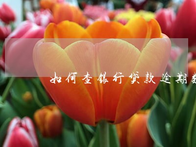 如何查银行贷款逾期数量 如何查银行贷款逾期数量